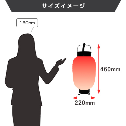 八寸夏目弓張提灯 サイズイメージ