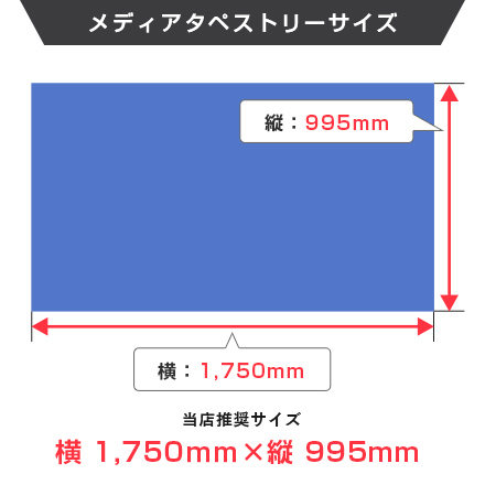 イージータペカウンター メディアタペストリーサイズ